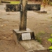 grave_village_v_0705_0040.jpg